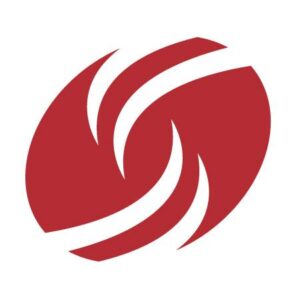 Dress for Success Austin logo