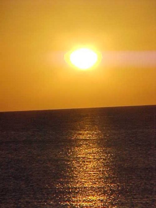 MVC-022S - Copy - pedro gatos