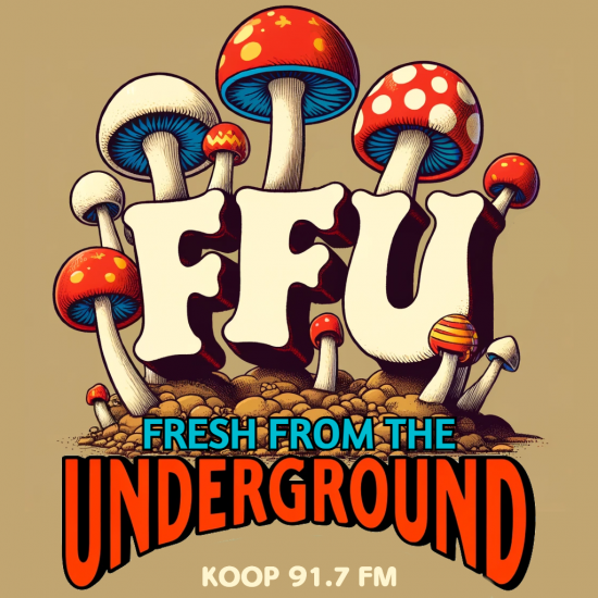 ffu-logo