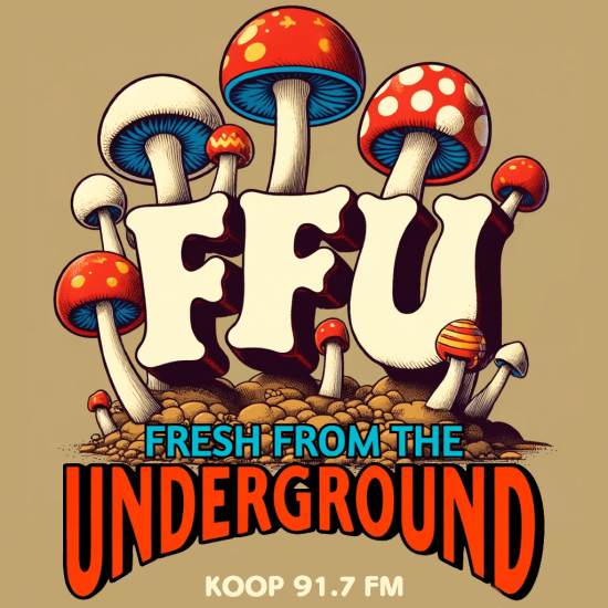 ffu-logo